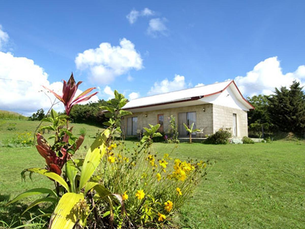 Villa Cabanas Honu Nui à Hanga Roa Extérieur photo
